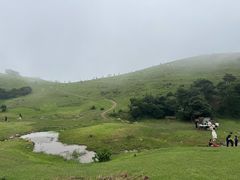 -大姆山草场