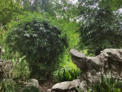 -申粤轩酒楼·三十年粤菜经典(丁香花园店)