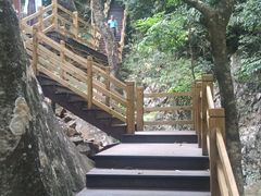 -海南霸王岭国家森林公园