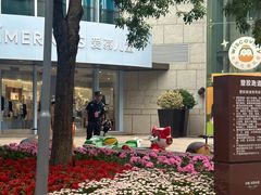 -中粮·祥云小镇