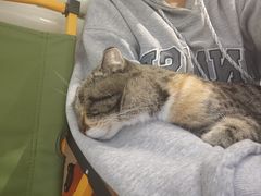 -平行世界·猫咖(首经贸店)