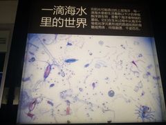 -同济大学四平路校区深海探索馆