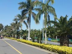 -黄金海岸环岛路