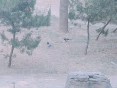-山东师范大学(千佛山校区)