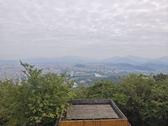 -风云岭森林公园