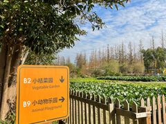 -上海长兴岛郊野公园