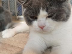 -1013 PET SHOP 宠物商店(近铁城市广场店)