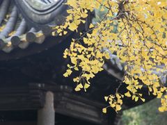 -无锡惠山寺