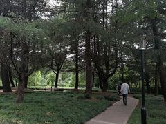 -黄兴公园