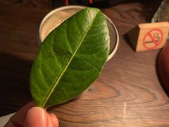 -Catail前苑(前门大街店)