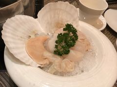 -四季火锅酒家(新濠影汇店)