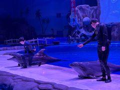 -华夏文旅海洋公园