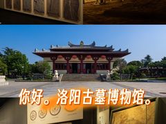 -洛阳古墓博物馆