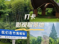 -中国大竹海景区