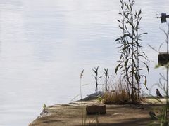 -阳澄湖半岛旅游度假区