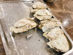 生蚝-蚝专家(北滘店)