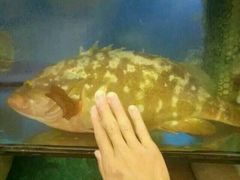 -合家小菜餐馆(新诚花苑店)