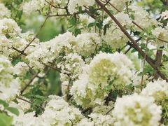 -大龙山(地铁站)