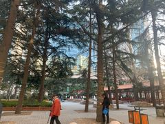 -中国人民解放军总医院(301医院)