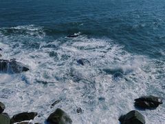 -广东惠东海龟国家级自然保护区