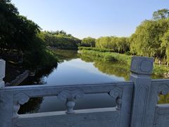 -大兴滨河森林公园