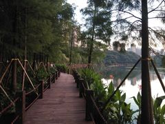 -重庆彩云湖湿地公园