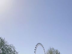 -渡海小渔村.老辈日照菜