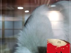 -白兔子密室(长寿路店)