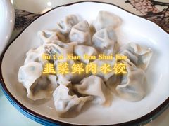 -石老头关东饺子王·东北菜(嘉华鑫城店)