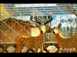 -萌宠亲子动物乐园(槐房万达店)