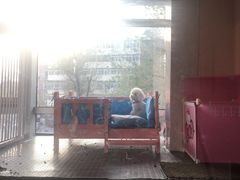 -A猫a狗全科·犬猫异宠·芥西宠物医院(南开总院)