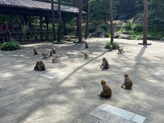 -千岛湖东南湖区