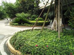 进门-铸信羽毛球俱乐部