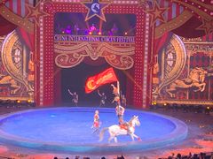 -珠海横琴长隆《卡卡虎奇遇记》