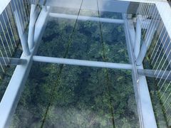 -呀诺达热带雨林