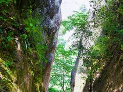 -崀山风景名胜区