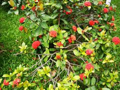 -人民公园(罗湖区)