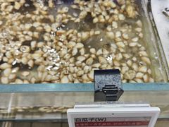-大润发(浒关店)