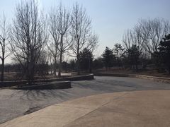 -东郊湿地公园