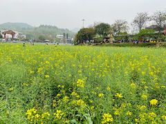 -红山村