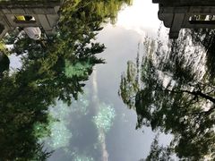 -趵突泉景区