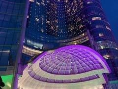 -圣丰索菲特·法国餐厅