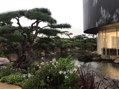 -罗红摄影艺术馆