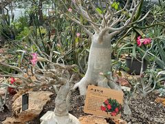 -国家植物园南园