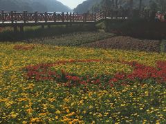 -广州市石门国家森林公园