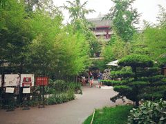 -香园自助小火锅