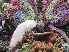 -正佳雨林生态植物园