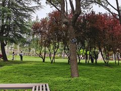 -上海财经大学(国定路校区)