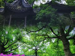 -惠山古镇·寄畅园