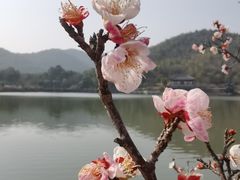 -孙武文化园-停车场